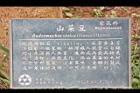 照片 106.jpg